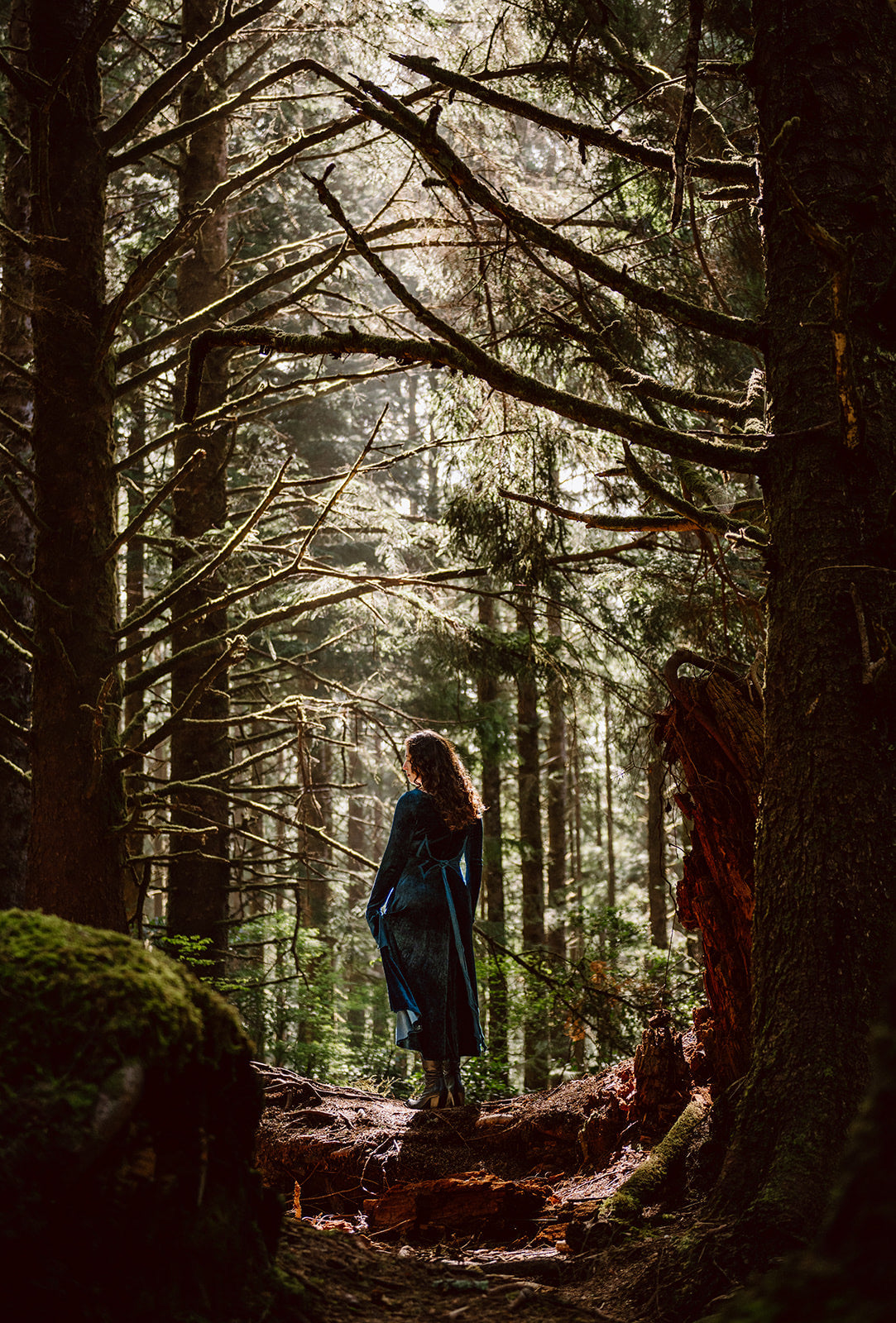 Blue Greenwood Dress in velour