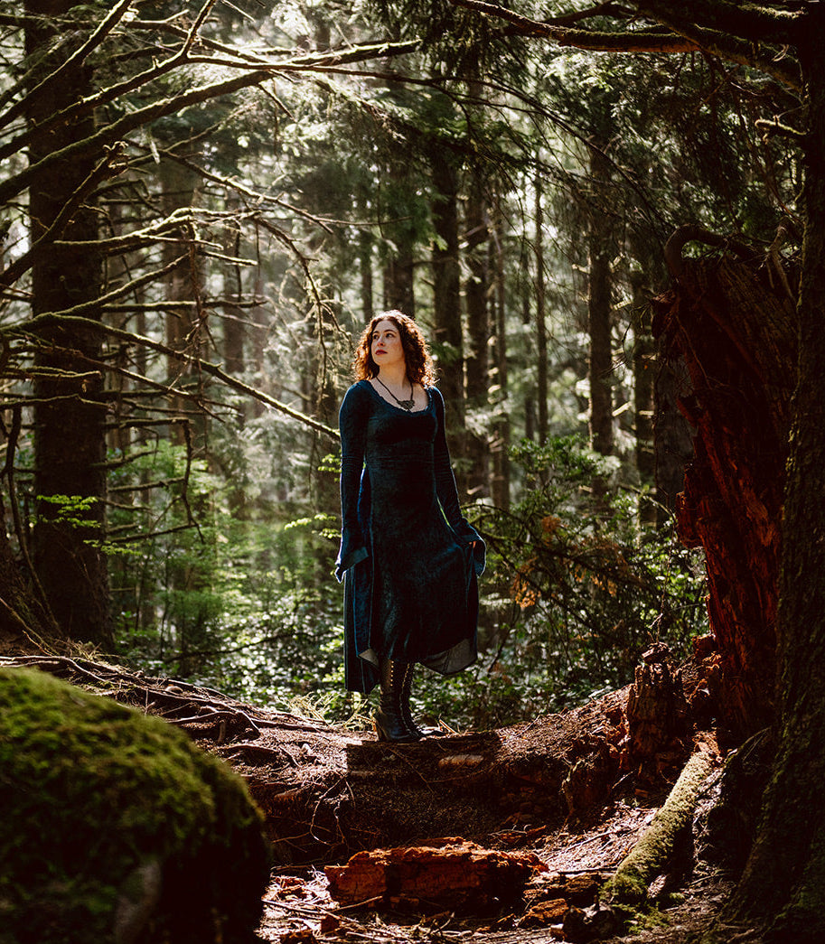 Blue Greenwood Dress in velour