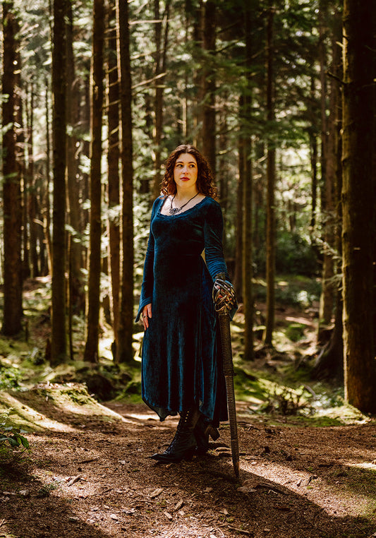 Blue Greenwood Dress in velour