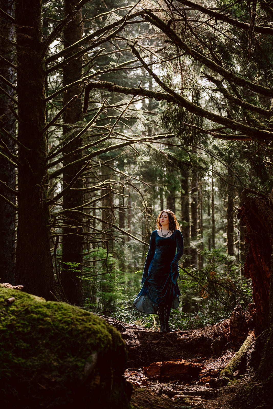 Blue Greenwood Dress in velour