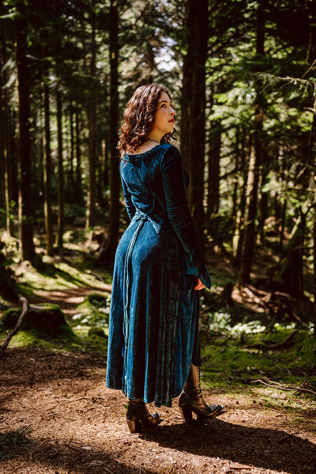 Blue Greenwood Dress in velour