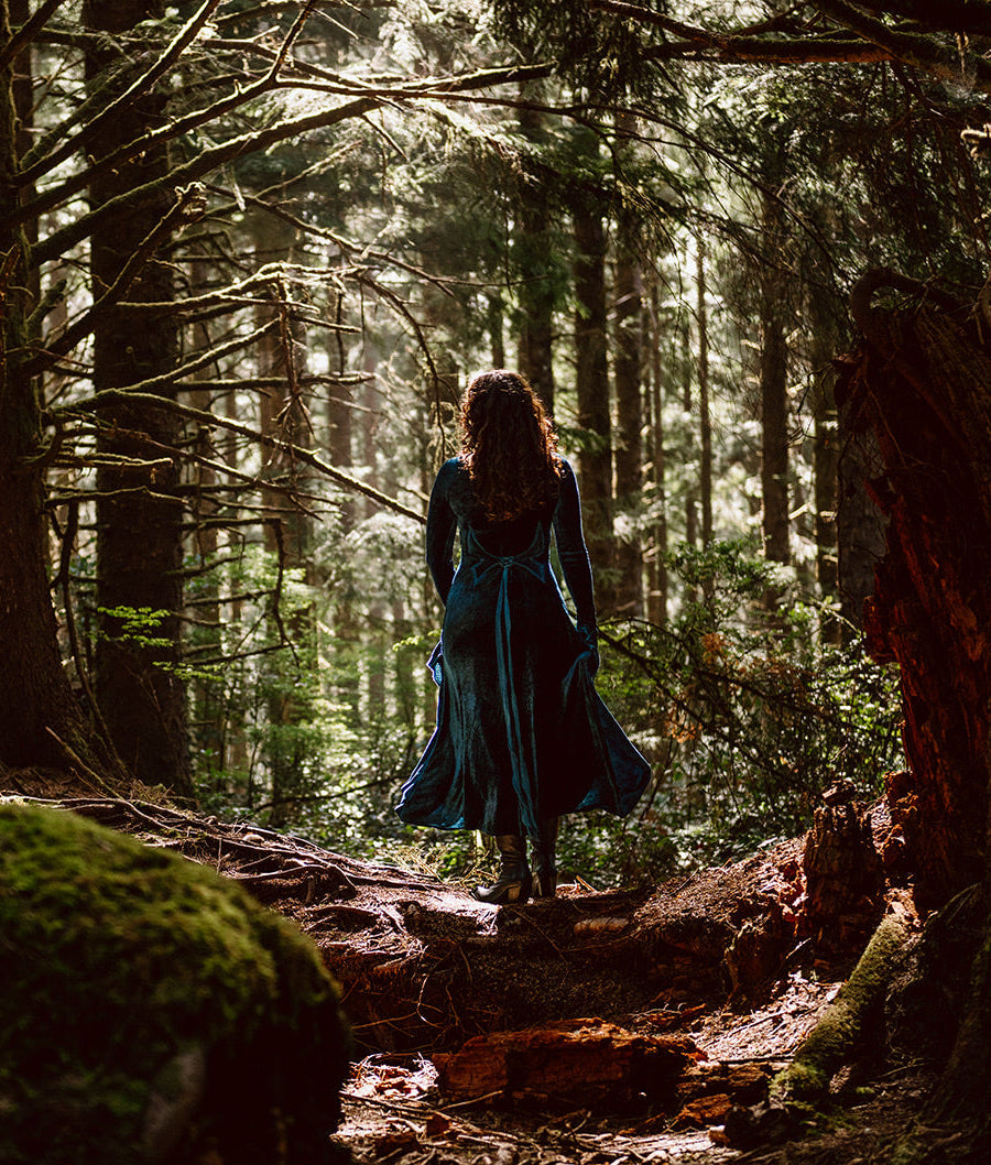 Blue Greenwood Dress in velour