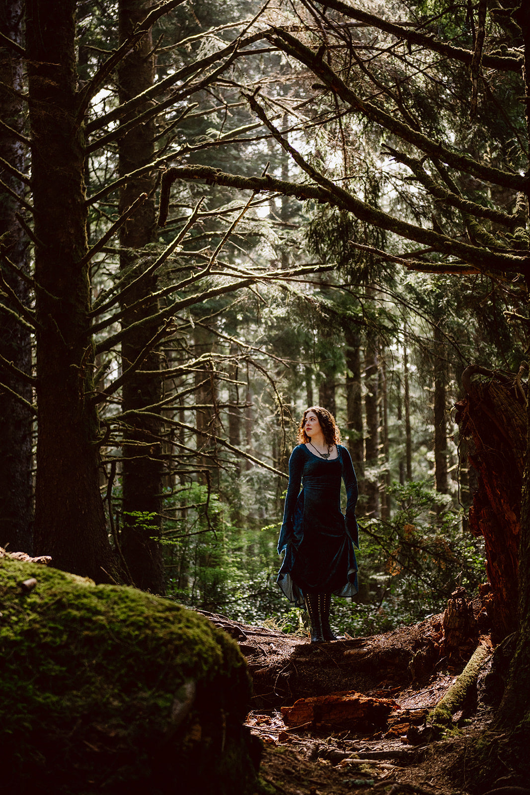 Blue Greenwood Dress in velour