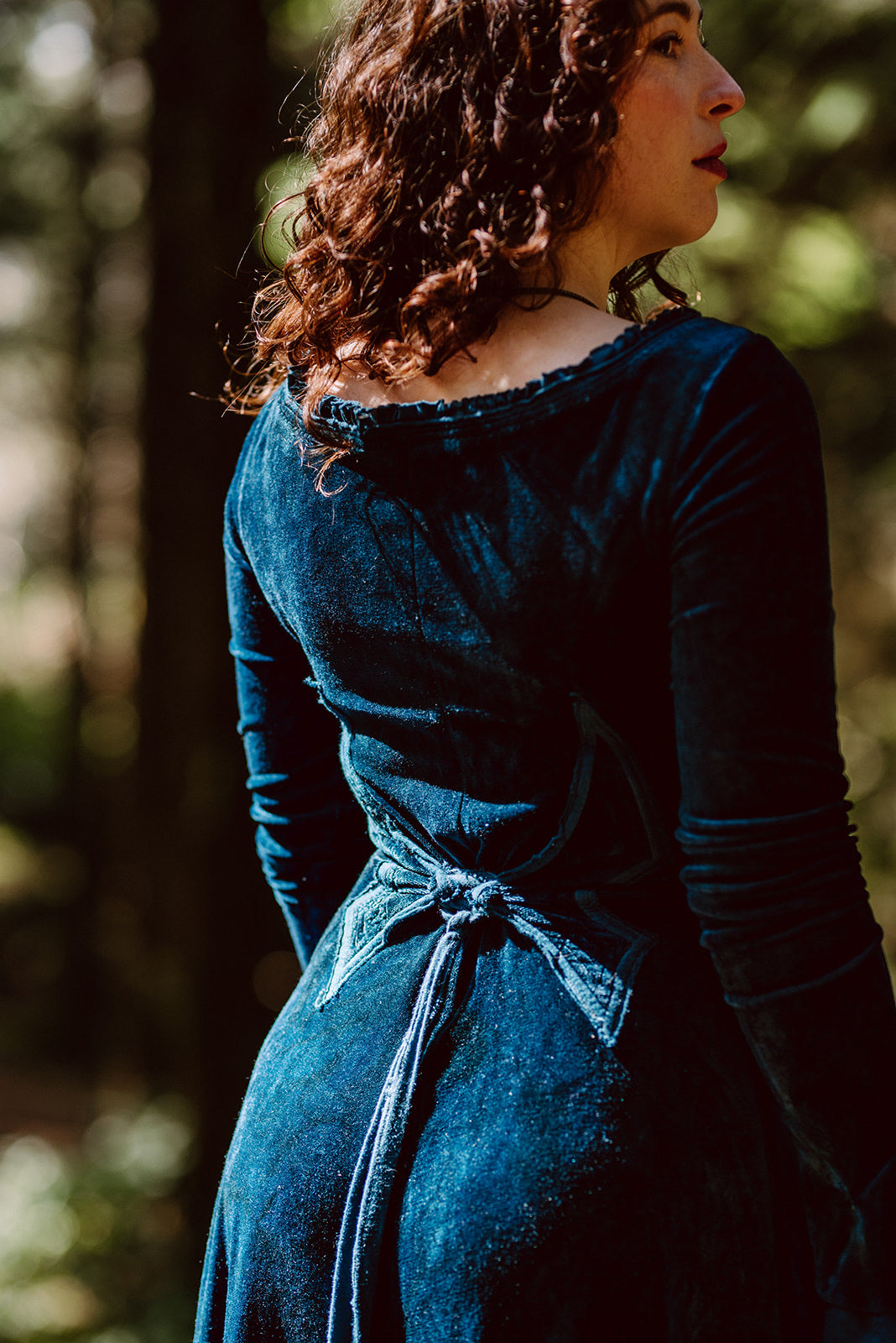 Blue Greenwood Dress in velour