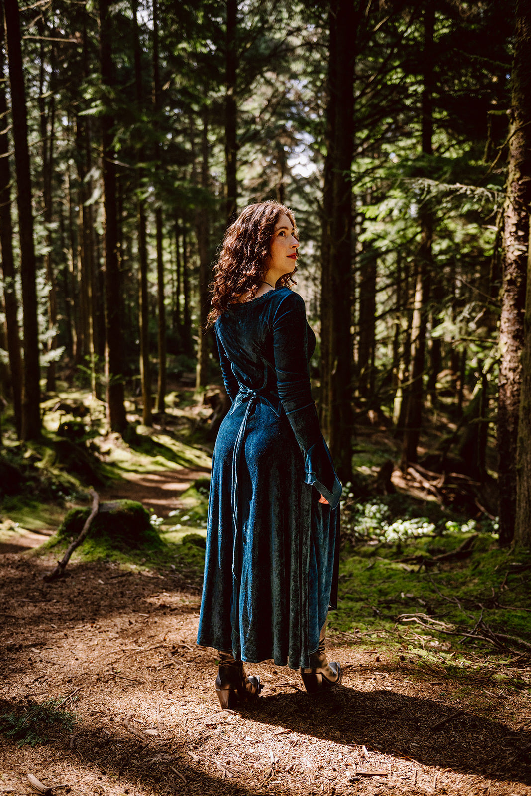 Blue Greenwood Dress in velour