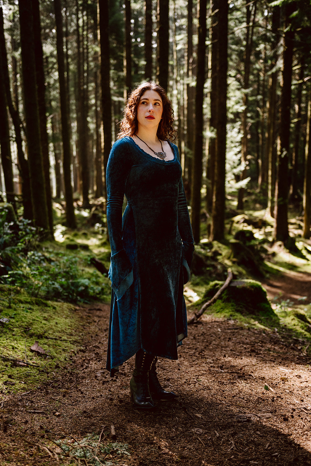 Blue Greenwood Dress in velour