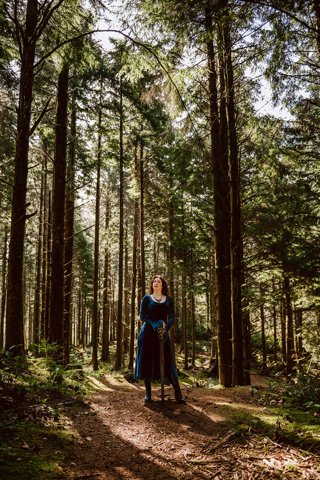 Blue Greenwood Dress in velour