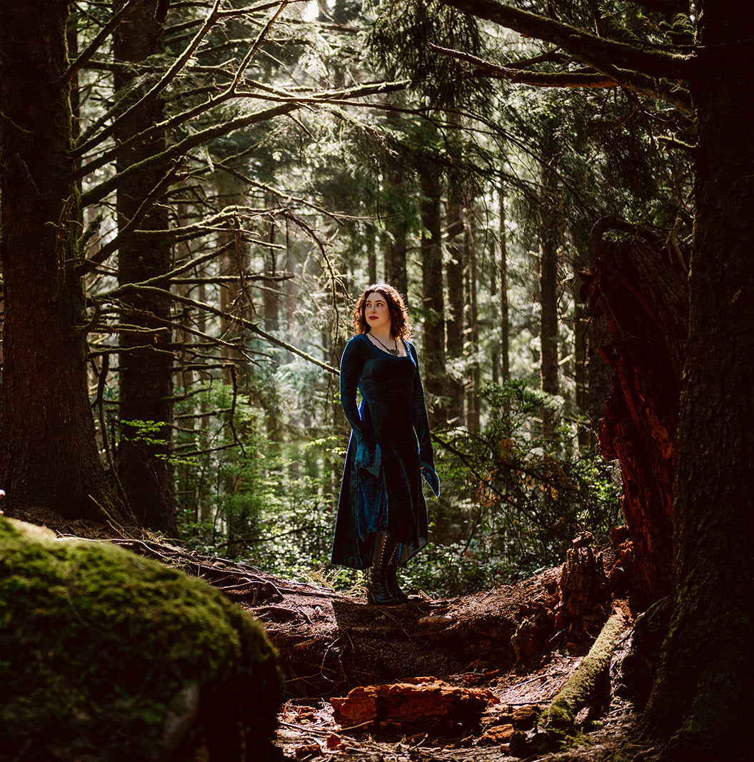 Blue Greenwood Dress in velour